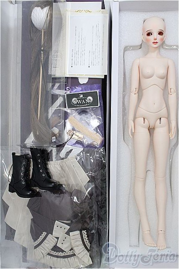 画像3: 【SALE】RINGDOLL/Alice01 Steampunk ver. Limited I-24-11-24-1004-TO-ZI (3)