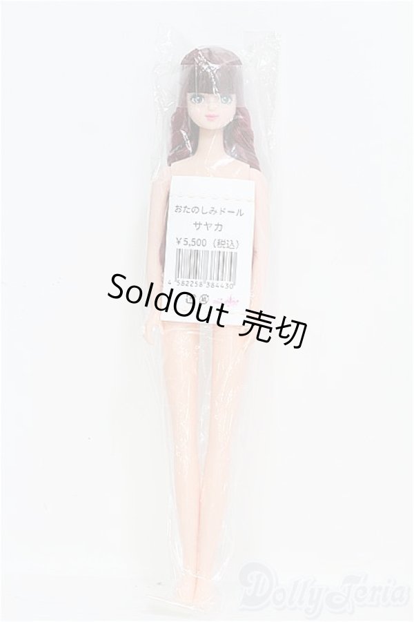 画像2: キャッスル/サヤカ:おたのしみドール/ I-25-10-12-392-TO-ZI (2)