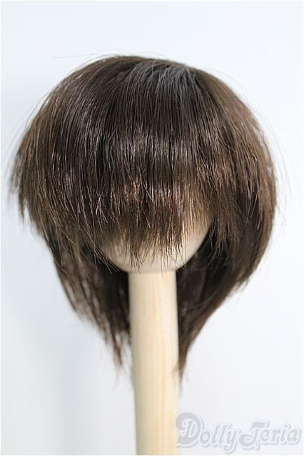 画像1: 【SALE】ウィッグ/6-7inch I-24-12-08-2015-TO-ZI (1)