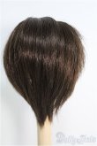 画像2: 【SALE】ウィッグ/6-7inch I-24-12-08-2015-TO-ZI (2)