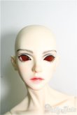 画像1: 【SALE】RINGDOLL/J・N フルセット I-24-12-01-1005-TO-ZI (1)
