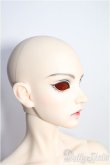 画像2: 【SALE】RINGDOLL/J・N フルセット I-24-12-01-1005-TO-ZI (2)