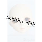 画像: 【SALE】PARABOX/ヘッド PB 47-01 I-24-12-01-1104-YB-ZI