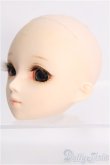 画像2: 【SALE】PARABOX/ヘッド PB 47-01 I-24-12-01-1104-YB-ZI (2)