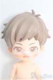 画像1: SIMONTOYS/ペテルソン園遊会 I-25-03-09-1077-TO-ZI (1)