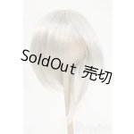 画像: 8-9inch/ウィッグ Y-26-02-04-170-TO-ZY