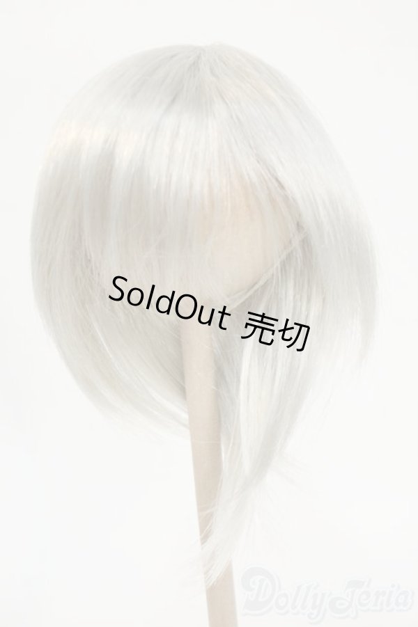 画像1: 8-9inch/ウィッグ Y-26-02-04-170-TO-ZY (1)