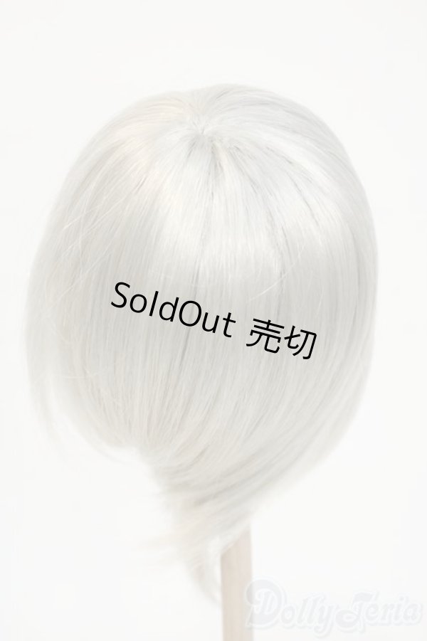 画像2: 8-9inch/ウィッグ Y-26-02-04-170-TO-ZY (2)