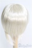 画像2: 【SALE】8-9inch/ウィッグ I-24-12-08-1099-TO-ZI (2)