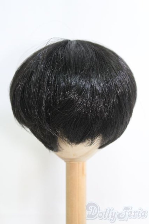 画像3: 8-9inch/ウィッグ I-25-06-22-3029-TO-ZI (3)