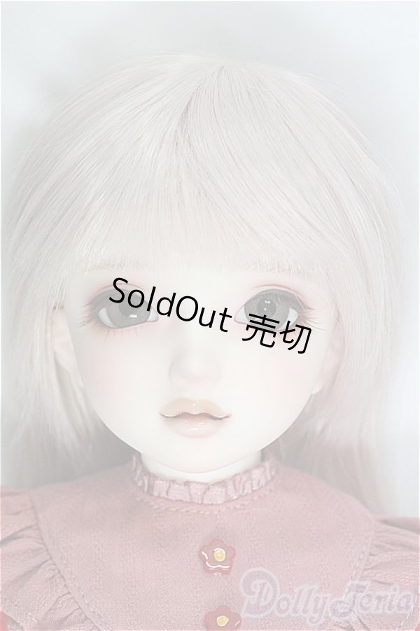 画像1: Dear SD /サキ/BJD　球体関節人形 I-25-11-30-293-YB-ZI (1)