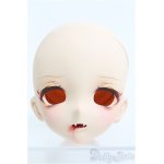 画像: 【SALE】DD/DDH-10カスタムヘッド I-24-12-08-1085-TO-ZI