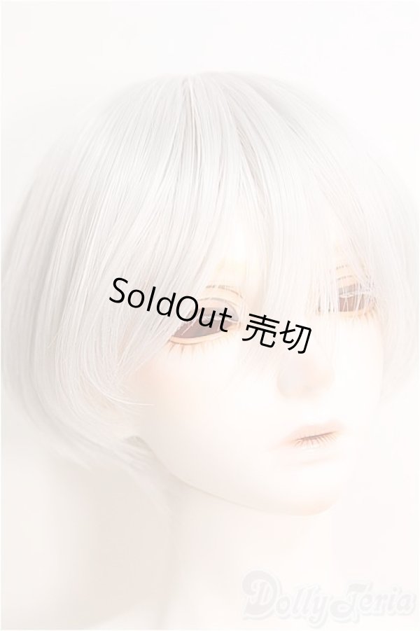 画像3: DOLK/「ノワールドール」イヴ キャストドール I-24-12-08-1007-TO-ZI (3)