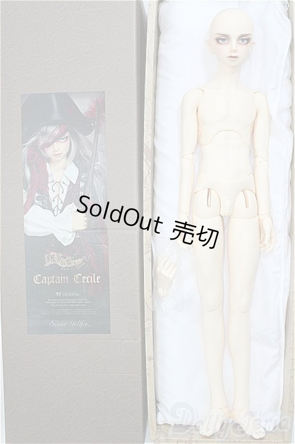 画像4: SD17BOY/キャプテンセシル I-24-12-01-1001-TO-ZI (4)