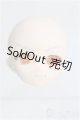 画像: 【SALE】PARABOX/ヘッド 手描き ホワイティ(PB-2710) I-24-12-08-1117-YB-ZI
