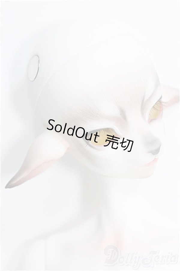 画像3: Dream Valley/Cedar フルセット I-24-12-08-1009-TO-ZI (3)