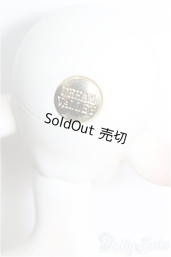 画像4: Dream Valley/Cedar フルセット I-24-12-08-1009-TO-ZI (4)