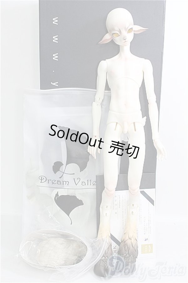 画像5: Dream Valley/Cedar フルセット I-24-12-08-1009-TO-ZI (5)