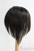 画像2: 【SALE】8-9inch/ウィッグ I-24-12-22-3052-TO-ZI (2)