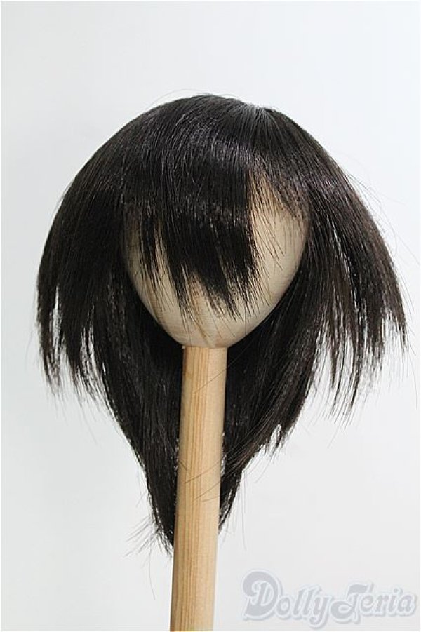 画像1: 【SALE】9-10inch/ウィッグ I-24-12-22-3051-TO-ZI (1)
