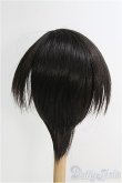 画像2: 【SALE】9-10inch/ウィッグ I-24-12-22-3051-TO-ZI (2)