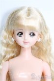 画像1: 【SALE】リカちゃんキャッスル/AGジェニー I-24-12-08-1052-TO-ZI (1)
