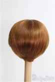 画像2: 【SALE】9-10inch/ウィッグ I-24-12-22-3049-TO-ZI (2)