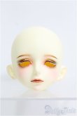 画像1: 【SALE】Gem of Doll/Hades I-24-12-08-1084-TO-ZI (1)