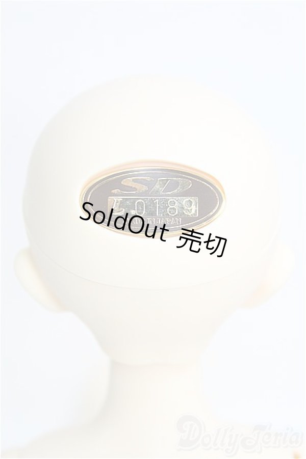 画像4: SDM/子天使 真霧 I-24-12-22-1003-TO-ZI (4)