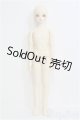 画像: SDM女の子/SDCミナヘッド I-24-12-29-1057-TO-ZI