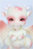 画像1: 【SALE】Aileen Doll/Cherry blossoms editon Shy I-24-12-22-1010-TO-ZI (1)