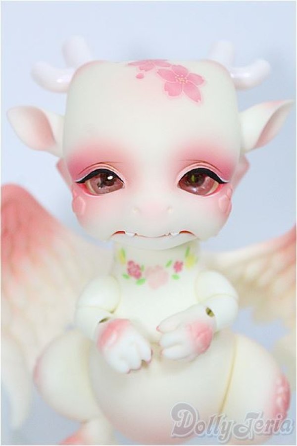 画像1: 【SALE】Aileen Doll/Cherry blossoms editon Shy I-24-12-22-1010-TO-ZI (1)