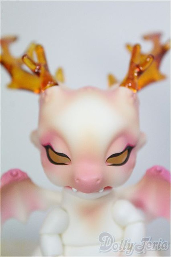 画像1: 【SALE】DOLK×Aileen Doll/Ashes Sakura Sweet Dragon I-24-12-29-1013-TO-ZI (1)