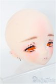画像2: 【SALE】imomodoll/1/4TIAMATヘッド I-24-12-22-1043-TO-ZI (2)