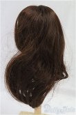 画像3: 7-8inch/ウィッグ/インチ　BJD　MJD　ドール用 I-25-09-21-150-TO-ZI (3)