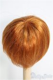 画像2: 【SALE】8inch/ウィッグ I-24-12-29-3036-TO-ZI (2)