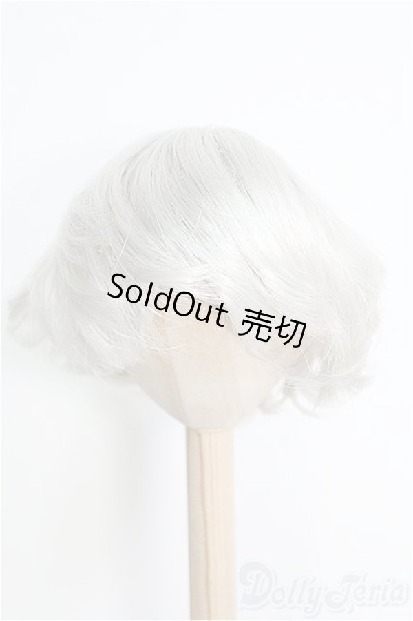 画像1: 【SALE】8-9inch/ウィッグ I-24-12-29-3041-TO-ZI (1)