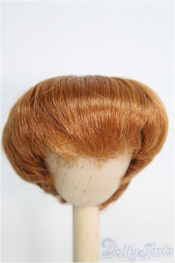 画像1: 【SALE】8-9inch/ウィッグ I-24-12-29-3039-TO-ZI (1)