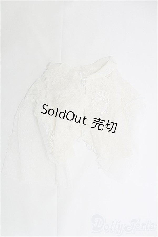 画像1: SD/OF:トップス I-25-02-23-2041-TO-ZI (1)