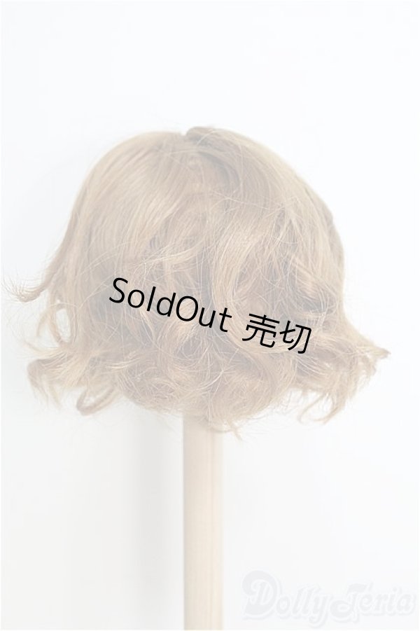 画像3: 9-10inch/ウィッグ/インチ　BJD　MJD　ドール用 I-25-08-10-305-TO-ZI (3)