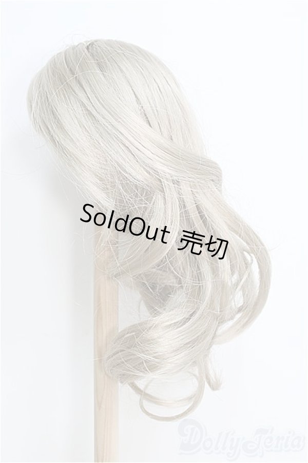 画像2: 9-10inch/ウィッグ/インチ　BJD　MJD　ドール用 I-25-08-10-309-TO-ZI (2)