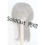 画像: 9-10inch/ウィッグ/インチ　BJD　MJD　ドール用 I-25-08-10-311-TO-ZI