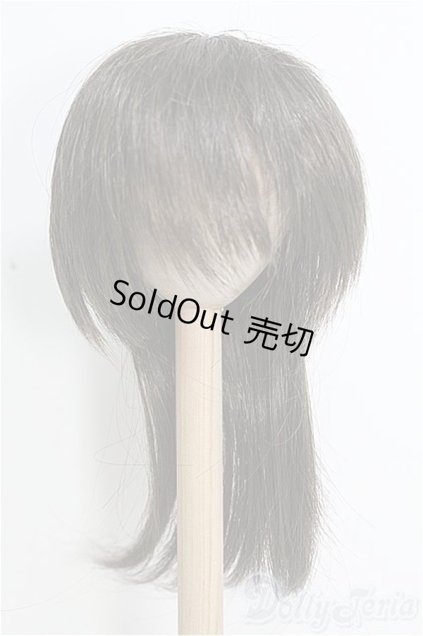 画像1: 9-10inch/ウィッグ/インチ　BJD　MJD　ドール用 I-25-08-10-311-TO-ZI (1)
