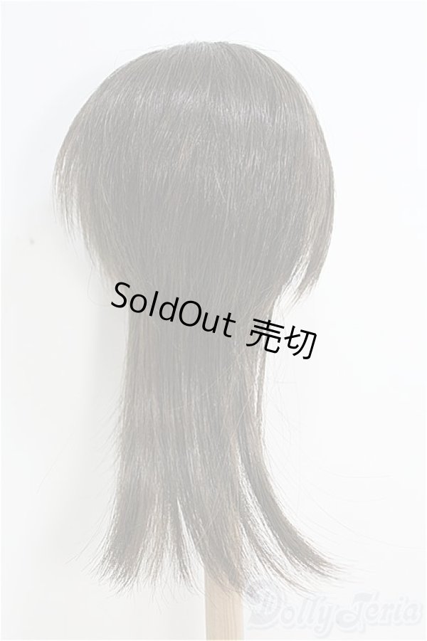 画像3: 9-10inch/ウィッグ/インチ　BJD　MJD　ドール用 I-25-08-10-311-TO-ZI (3)
