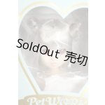 画像: ruruko/CCSgirl 25干支 ruruko 巳 girl Y-25-12-03-251-TN-ZY