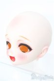 画像3: 【SALE】DD/DDH-28　カスタムヘッド I-24-12-22-1052-TO-ZI (3)