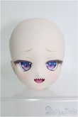 画像1: 【SALE】DD/DDH-27 ぽこあどおる様カスタムヘッド I-24-12-29-1060-TO-ZI (1)