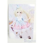 画像: 【SALE】MDD/OF ねこの毛糸屋(RosenliaDoll様製) I-25-01-05-2094-TO-ZI