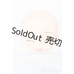 画像: ねんどろいどどーる/かすたむヘッド I-24-12-22-1118-TO-ZI