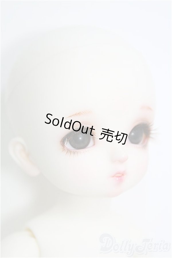 画像3: 幼SD/Lulu I-24-12-22-1002-TO-ZI (3)